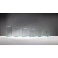 Glastrophäe Rechteck Brian für professionelle...