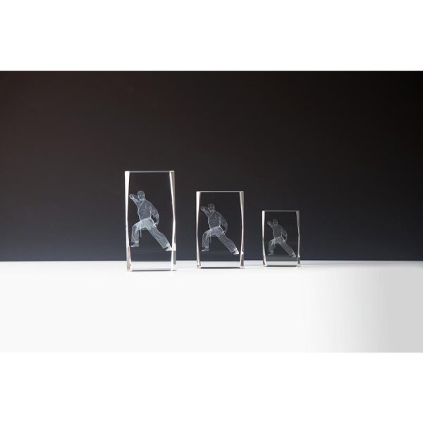 Kristallglas 3d-Karate Kurt für Pokalserien in einheitlichem Look