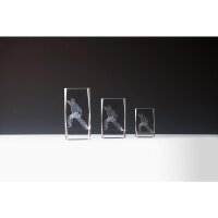 Kristallglas 3d-Karate Kurt für Pokalserien in...