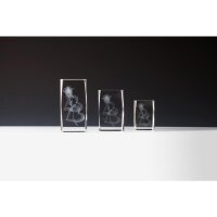 Kristallglas 3d-Herzrose Hannelore für Ehrentage,...