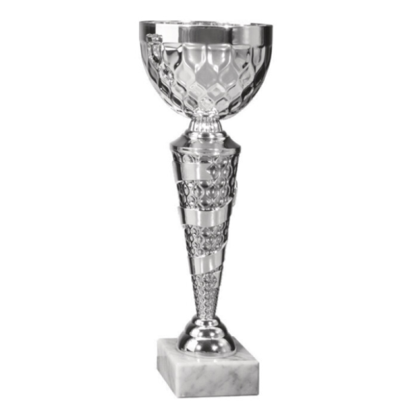 Pokal silber Czeslaw für Vereinsleben, Trainingsgruppen und Events