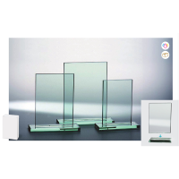 Glastrophäe Rechteck 2-teilig Annie für...