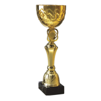 Pokal Gold Valentin für Serien, Ligen und...