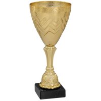 Pokal Gold Wanda für Leistung, Engagement und...