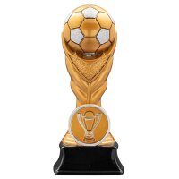 Resinfigur Fußball Finn3