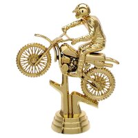 Figur Motorsport Sebastian1