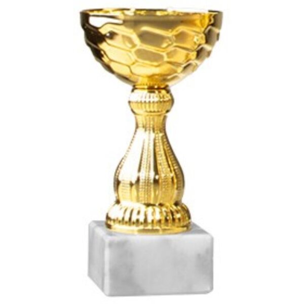 Pokal Gold Julia für Vereinsmeister, Siegerteams und Platzierungen