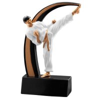 Resinfigur Karate 120 mm Tuncay für Sponsoren-Events...