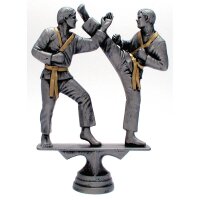 Figur Karate resin 158 mm Petar für Charity-Events...