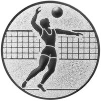 Emblem Volleyball
