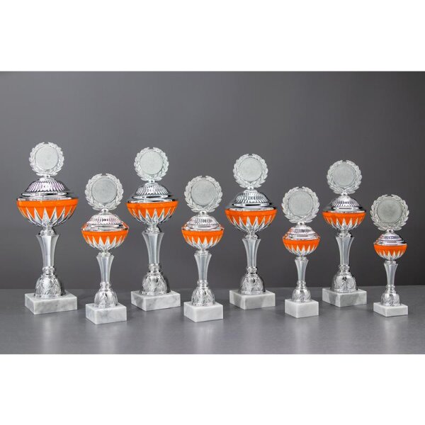 Pokal si-or. Veronica für Vereinsleben, Trainingsgruppen und Events