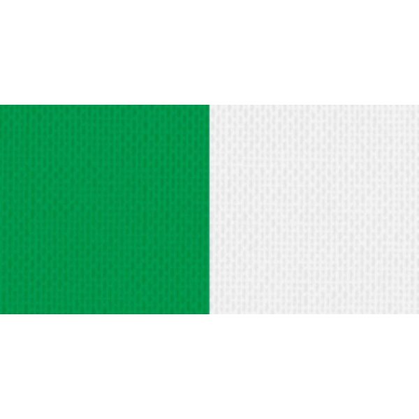 Halsband grün-weiß