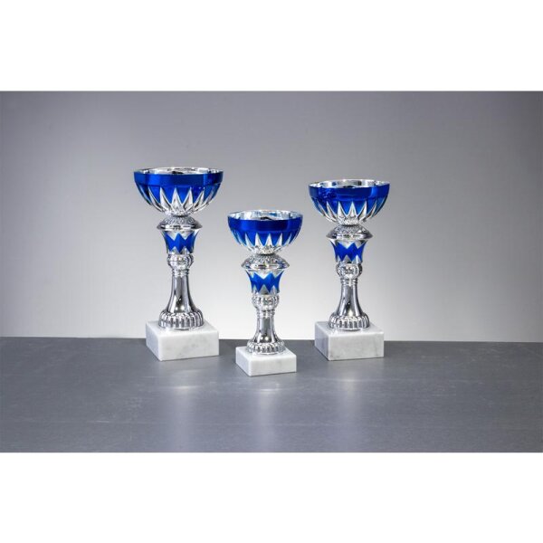 Pokal Silber-Blau Swantje für Vereinsleben, Trainingsgruppen und Events