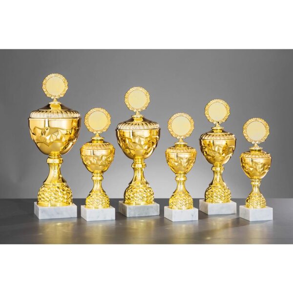 Pokal Gold Grzegorz für Vereinsleben, Trainingsgruppen und Events