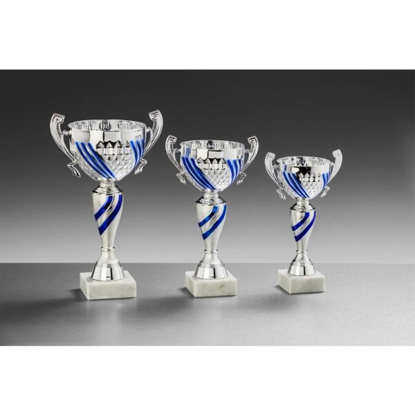 Pokal Silber-Blau Hansjürgen für Nachwuchs-Programme und Talentförderung